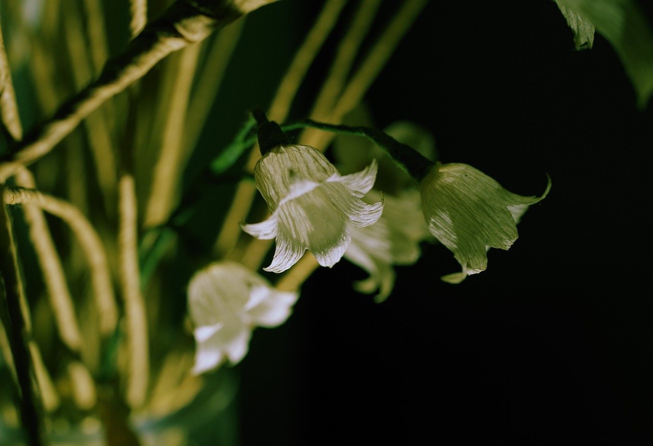 Handmade Paper Flowers