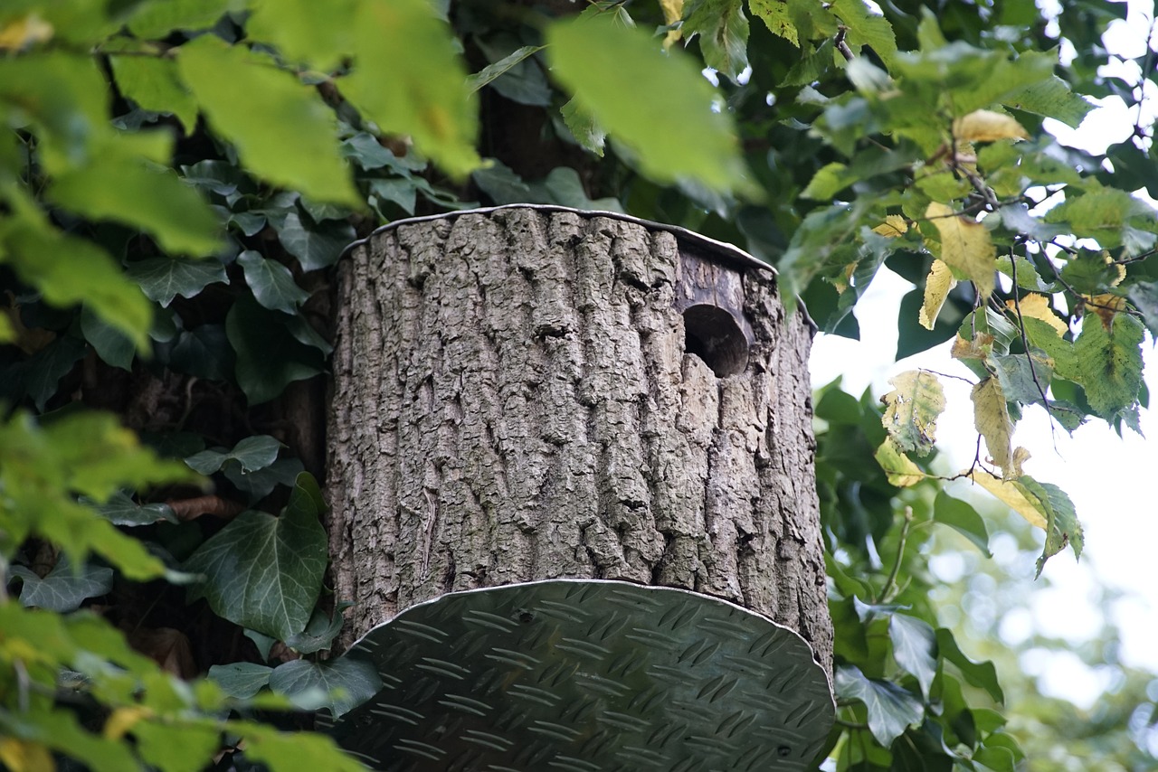 Handmade Wooden Birdhouses